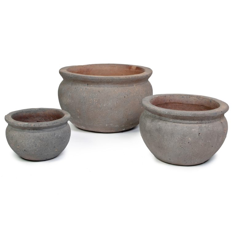 Flower Pot Maya