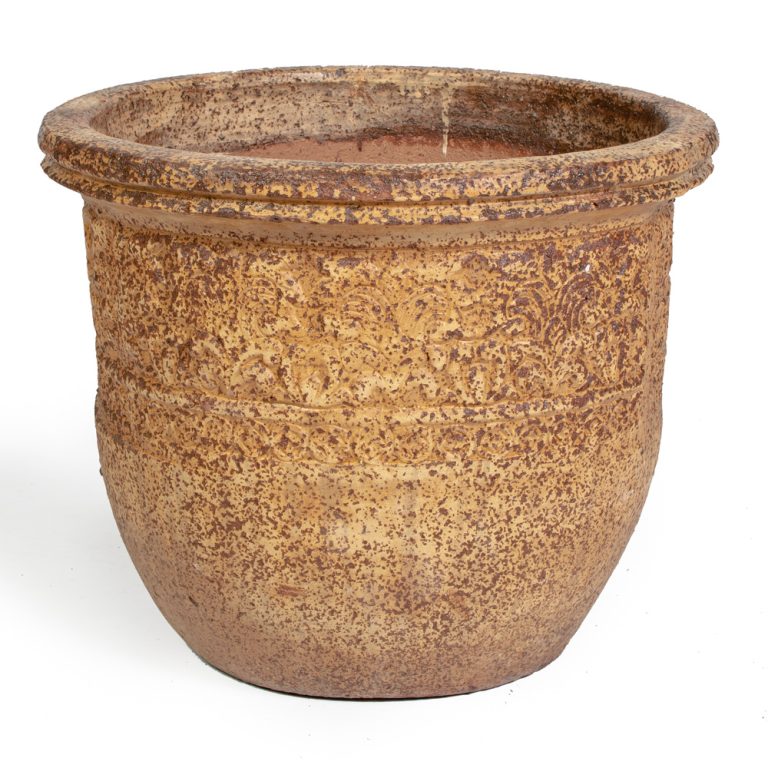 Flower Pot Xenia