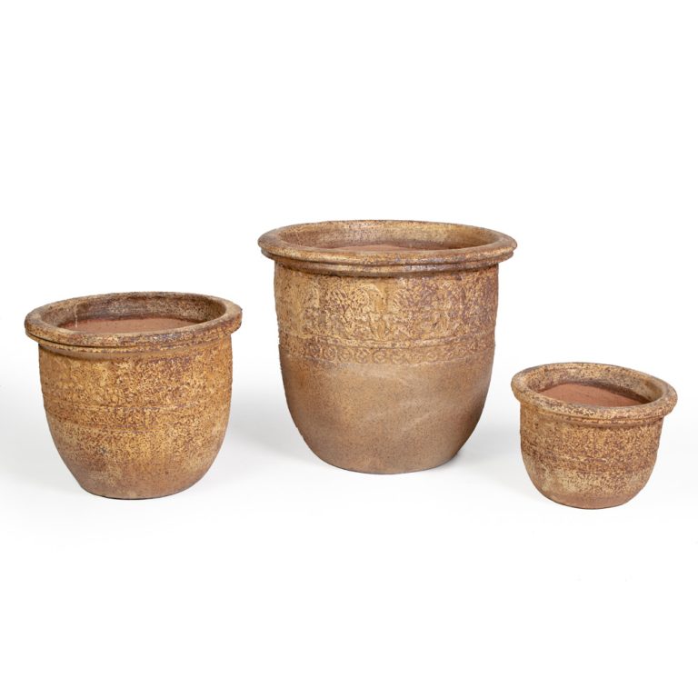 Flower Pot Xenia
