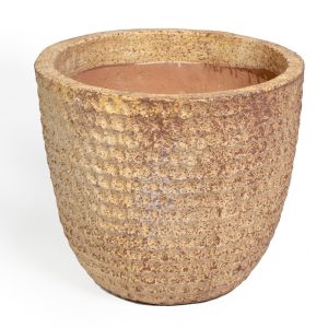 Maceta Iria